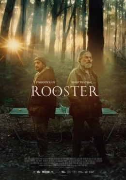 The Rooster