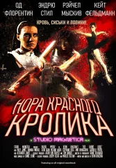 Нора красного кролика